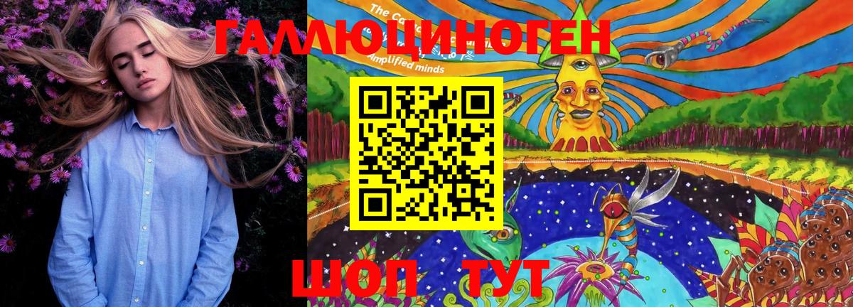Псилоцибиновые грибы Psilocybe Мытищи
